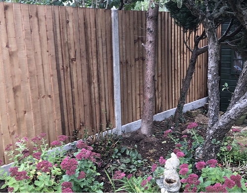 Boundary fencing for a back garden.