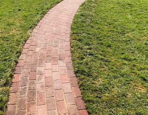 Brickwork pathway in newly turfed lawn.