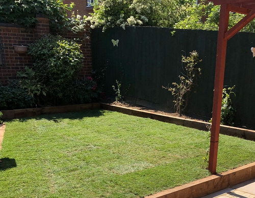 Compact garden landscaped and turfed to lawn.