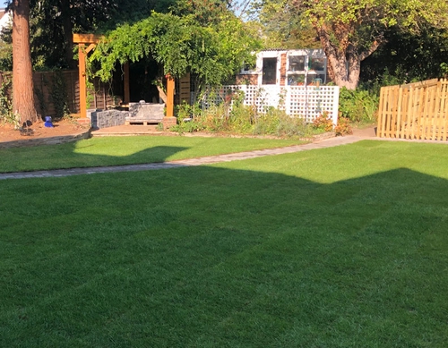 Newly laid grass for private back garden.